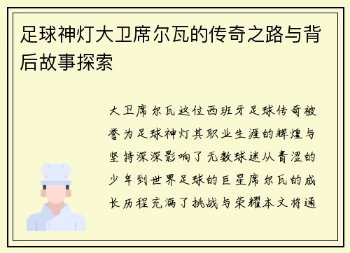 足球神灯大卫席尔瓦的传奇之路与背后故事探索